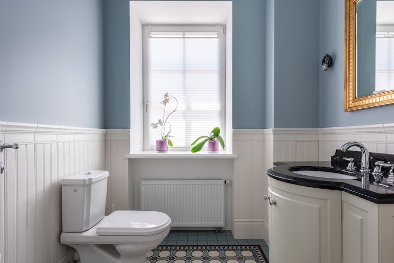 Stylish contemporary bathroom featuring blue walls, black countertop, and orchid plant.