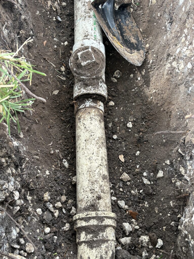 Why Tree Roots Invade Your Sewer Line In Summer